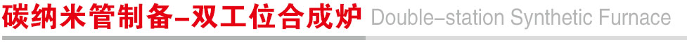 碳纳米管制备-双工位合成炉.jpg